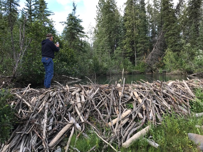 10FE7358-0EC8-4EFD-B488-9D466A343E8F