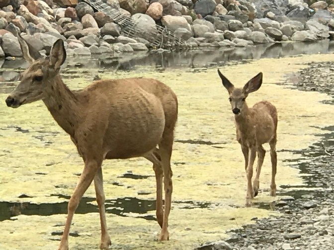 28A7D43C-B6E7-4229-93D3-FF7DC947A311