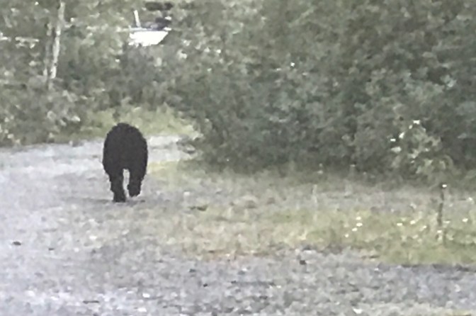 32EDE976-D6F7-4E2A-8850-D4D73020B6BE