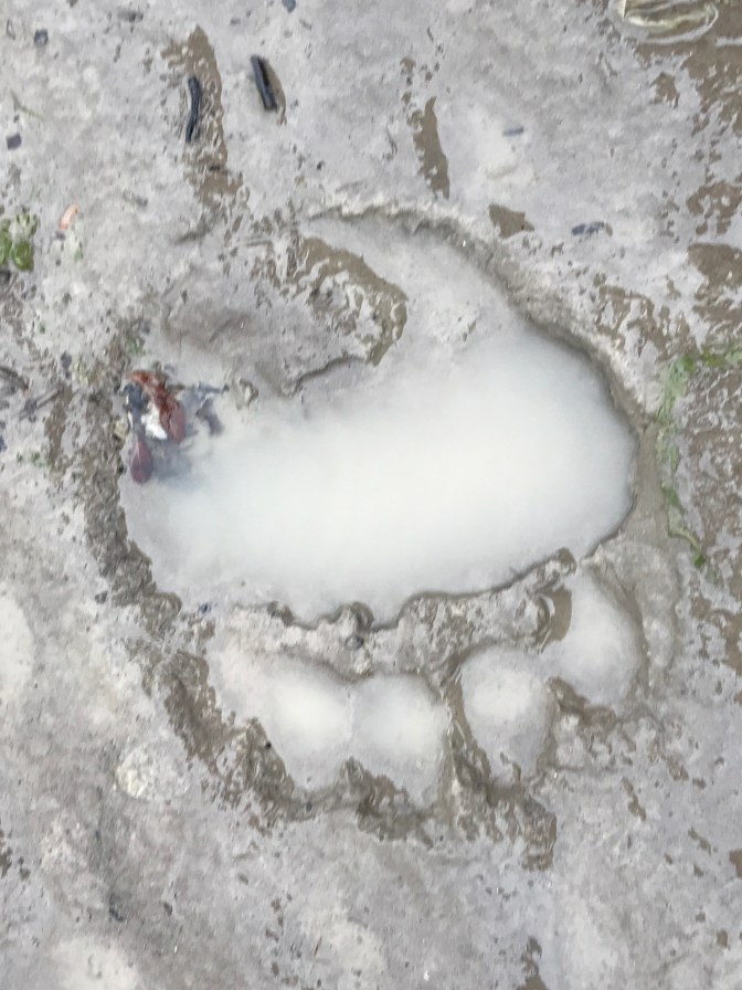 355614A5-D51B-4DD4-9755-251661AF4AF8