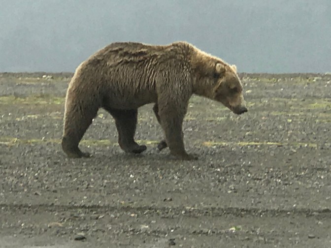 46BB0EEE-B5AB-4D5B-B96B-1CE926A7E8EB