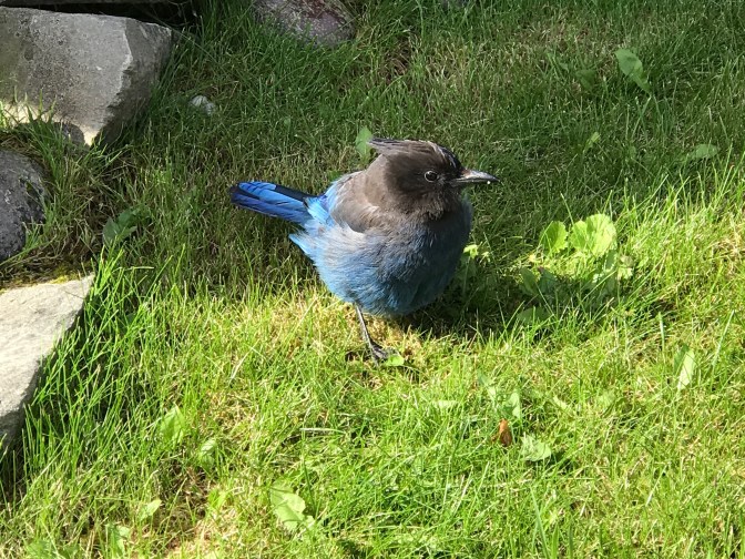 CB99057F-E189-45A8-B2F1-B6AE80DEADF1