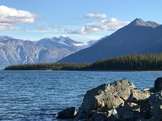 D6501A53-DA11-43ED-9D45-37B49DE91C7B