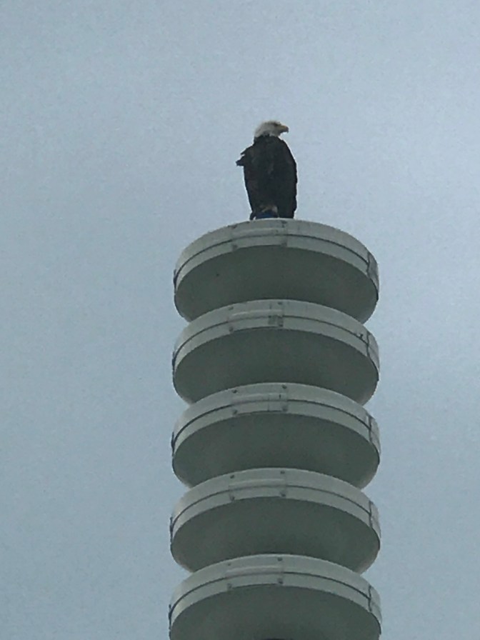 D9F5F800-1A0D-497B-A3D1-38F001C91969