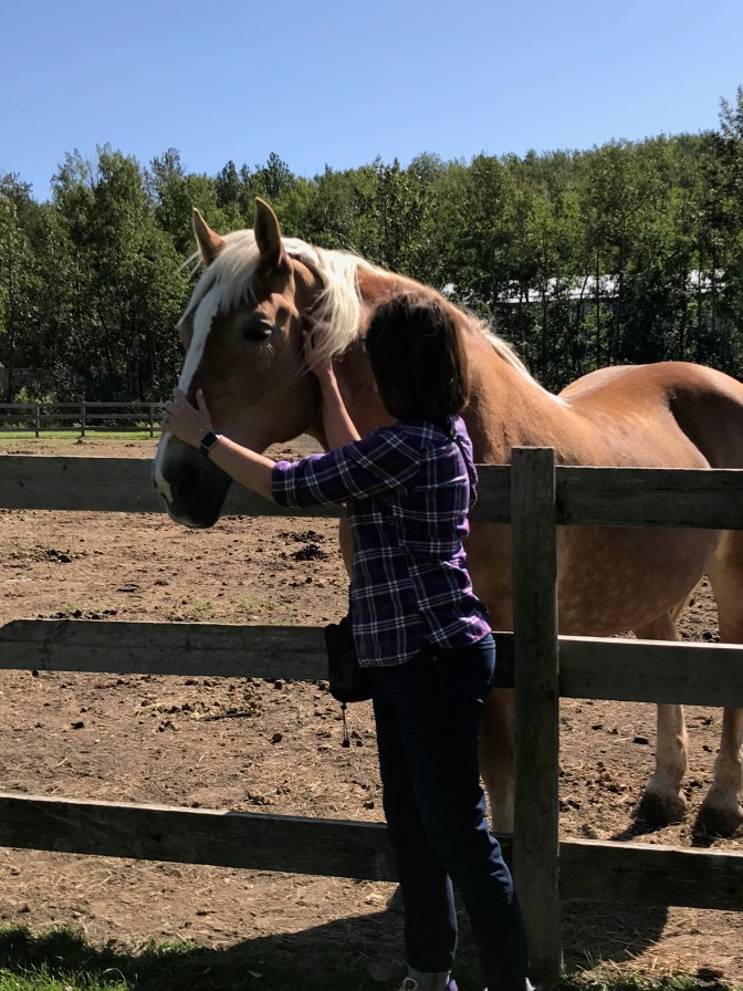 ED9F7A4E-0798-4DFE-878F-5D633D00EE0A