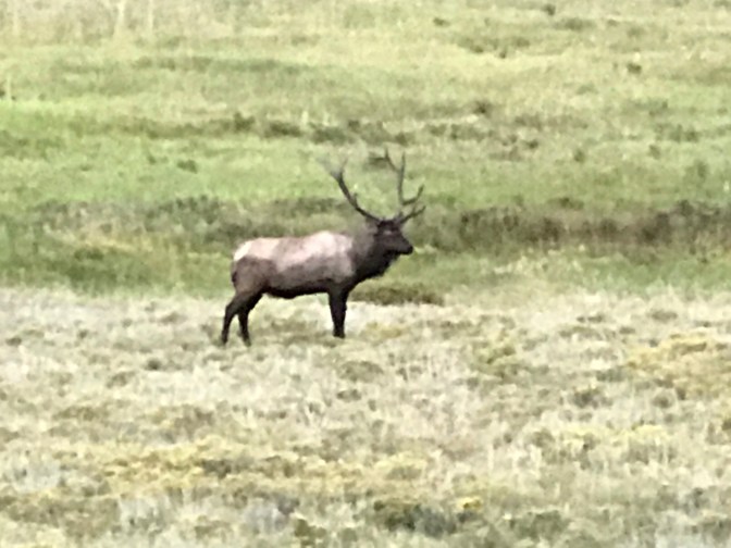 08C43019-2BCB-4D92-A2A0-F09AD98C5132