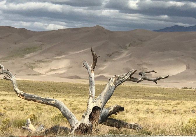 74B4B563-D8B0-432E-884B-FDD7BD8DE805