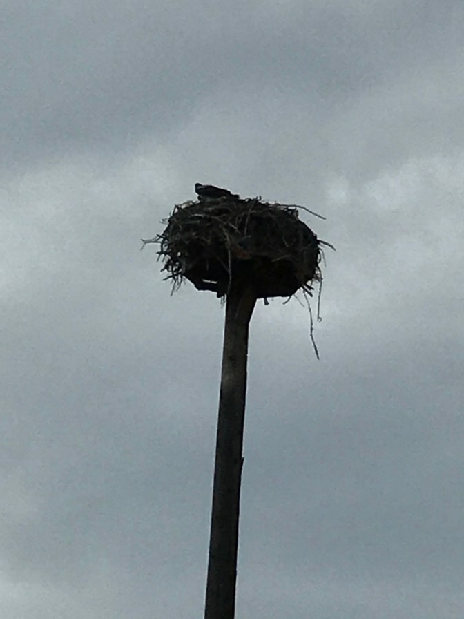 9E177ACC-D7DF-4081-AF9C-6523E32AEEBC