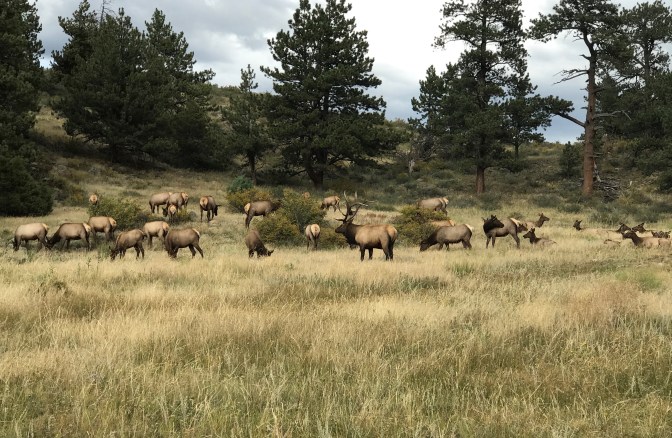 A906492F-F5E0-40ED-B8A4-006B2570694E