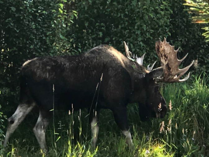 C9EB391F-3539-47D4-B44B-8110237F08F4