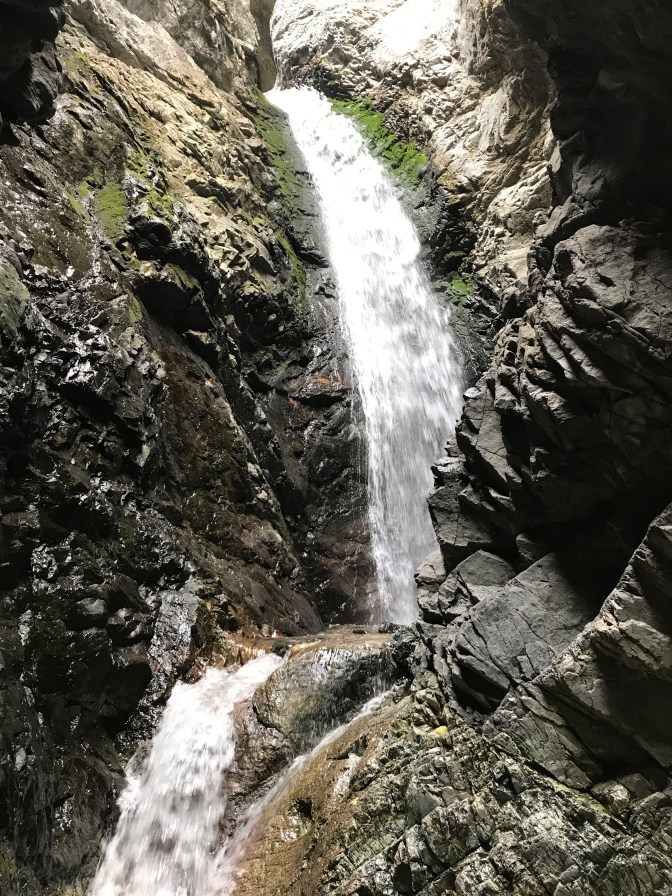 DA8D1374-8E61-4DD4-BB15-84B205C3BE8D