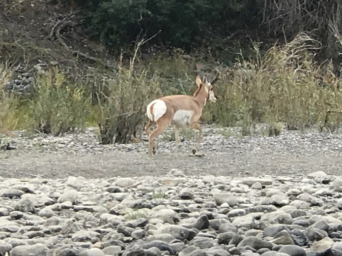 F9AF7A58-D41E-4EF7-B79A-434D3D12B7A6