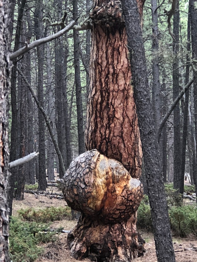 3AF139D0-0493-47E3-8B97-BC5A53B84351