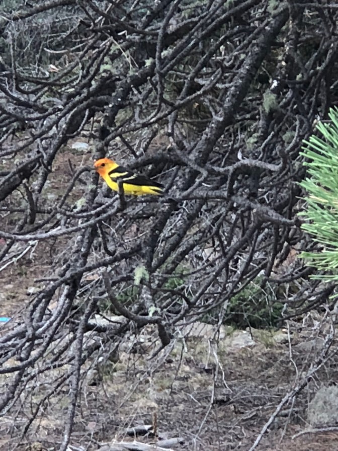 885AA83C-7F4E-4018-BE9A-824DE6F1722B